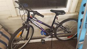 24" Ladies/Girls Mountain Bike