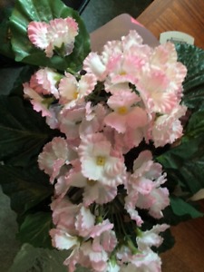 ARTIFICIAL PINK AFRICAN VIOLET - $5 (LOOKS REAL!)