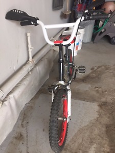 Boy's TMNT bike
