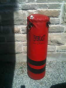 Brand new Everlast punching bag for sale.