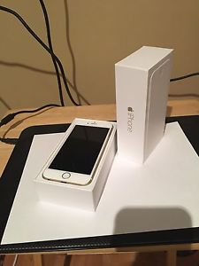 Gold iPhone 6