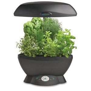 Grow Hydroponic Plants