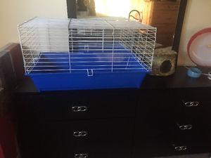 Large cage & accessories