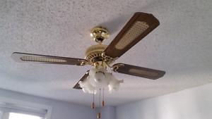 Light fixture, ceiling fan