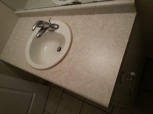 1 Bathroom countertop and 2 matching sinks