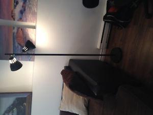 Indoor stand-up lamp - asking $10