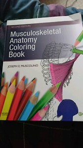 Musculoskeletal anatomy coloring book