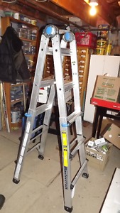 NEW folding extendable Step Ladder