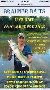 Selling minnows and more