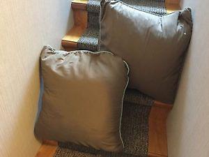 2 feathered pillows