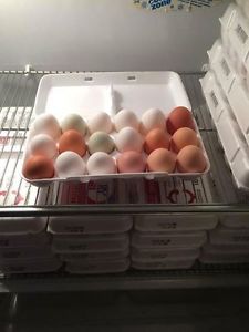 All Natural Farm Eggs