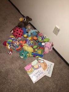Baby book & toy lot