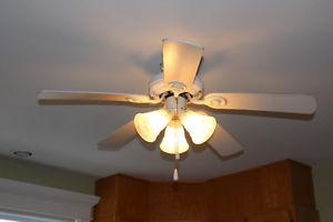 Ceilling Fan with Light