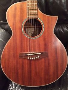 Ibanez exotic wood small body guitar