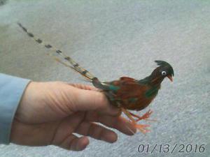 PHEASANT ORNAMENT of real feathers