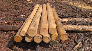 Saw logs Building logs, Ect