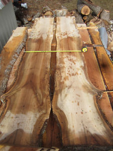 2" Curly maple and cherry live edge slabs