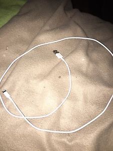Authentic Apple iPhone charger