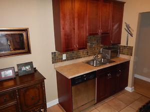 Complete set of Kitchen cabinets and countertops