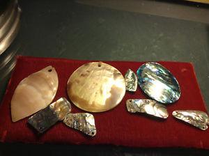 Lot Abalone Mother Of Pearl