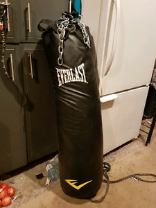 Everlast 100lb kickboxing bag