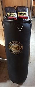 Everlast Heavy Bag with Gloves