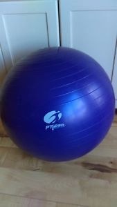 FT fitness Exercise Ball