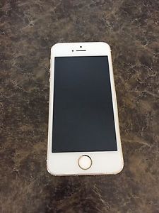 Gold iPhone 5s 16gb bell