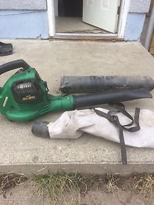Leaf blower/vacuum
