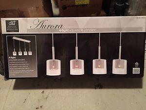 Light Fixtures
