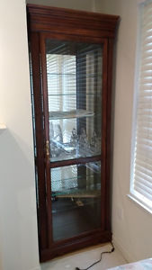 Mahogany display cabinet