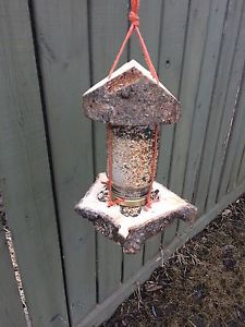 Pine bird feeder
