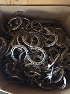 USED HORSE SHOES