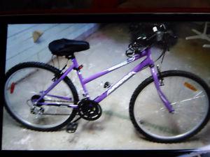 mountain bike