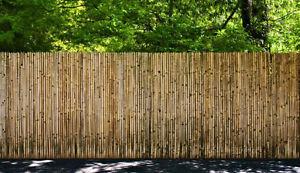 6ft high Bamboo Privacy Fence