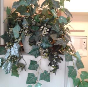 Artificial Ivy Plant