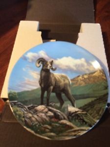 Collector Bighorn Sheep plate