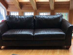 Dark brown leather couches