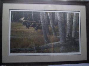 Moose Prints by Daniel Smith