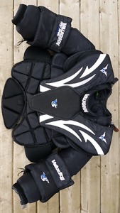 Vaughn V5 Pro Chest Protector and CCM Premier Pants