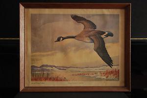 Vintage framed print "The Canada Goose" Carling Collection