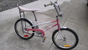 Youth 20 inch Cruiser