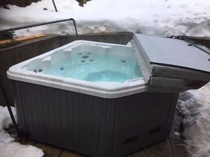 nice  hot tub, works great