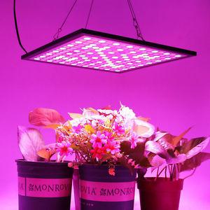 HIGROW Reflector 45W LED Grow Light