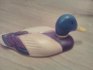 Duck perfect condition