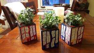 Jelly Bean Row Flower pots.....Ivy included