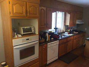 Kitchen Cabinets and counter tops
