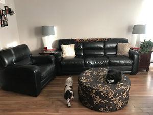 Lazy boy brand leather furniture pet friendly home