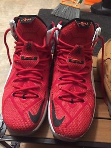 Lebron 12 s10 for sale
