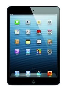 iPad mini 16GB in Black excellent condition-like new